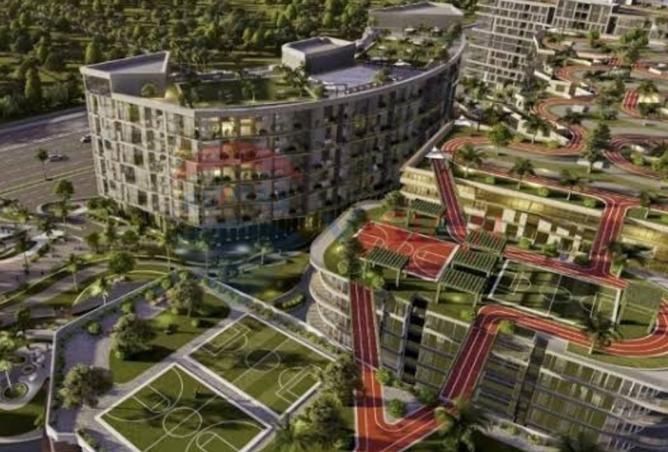 8268504 - Property Image 3