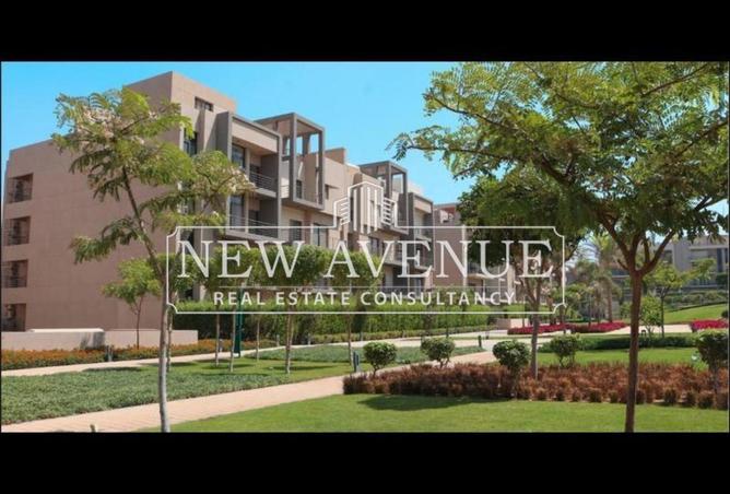 8219724 - Property Image 3