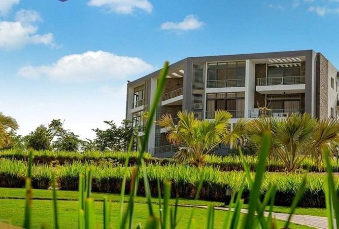 8406031 - صورة العقار 2