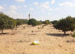 Land for للبيع in Gamaiet Ahmed Orabi - Obour City - Qalyubia
