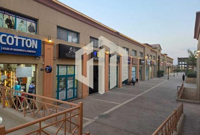 8084337 - Property Image 2