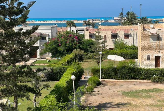 8008388 - صورة العقار 3