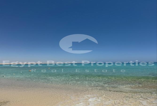 7939305 - الصورة الرئيسية للعقار