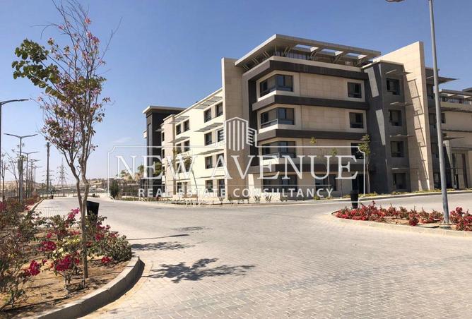 7903524 - Property Image 3