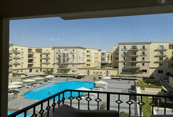 8251153 - Property Image 3