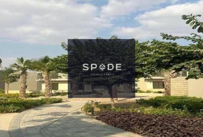 8312470 - Property Image 3