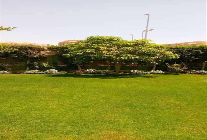 7966567 - صورة العقار 2