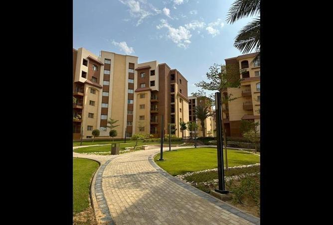 8147623 - صورة العقار 2