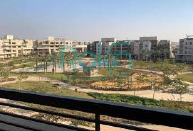 8377954 - Property Image 3