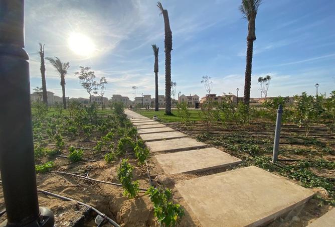 8266373 - Property Image 2