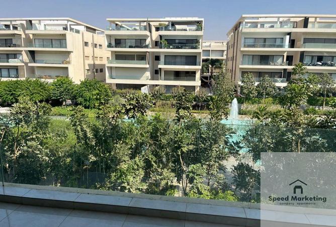 8421245 - Property Image 3