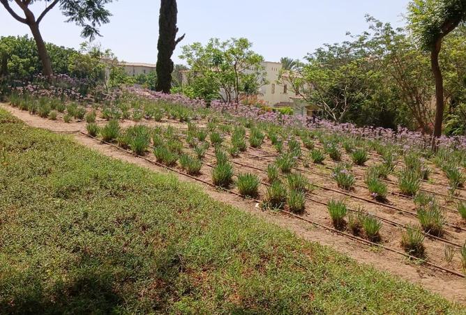 8560298 - Property Image 2