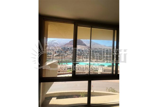 8126989 - Property Image 3