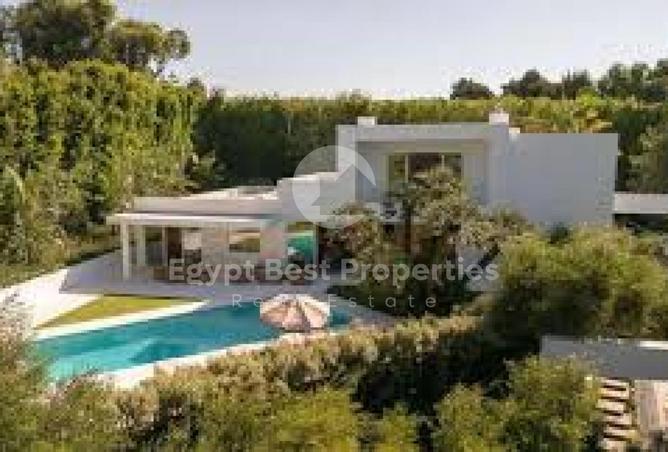 8031605 - Property Image 3