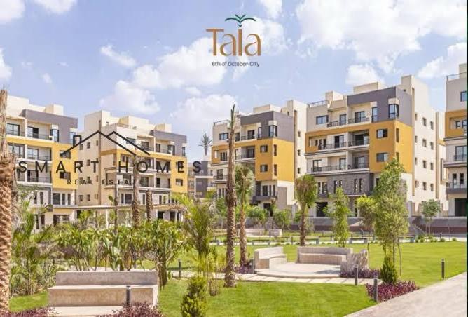 7986887 - Property Image 2
