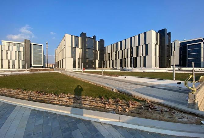 8305705 - Property Image 2