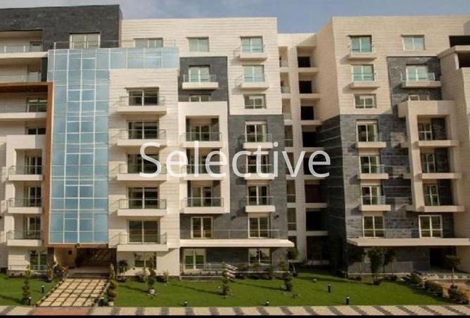 7912780 - Property Image 3