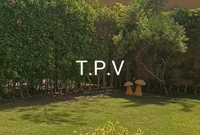 8330598 - Property Image 3