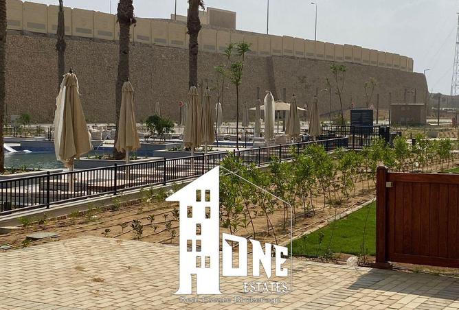 8250334 - صورة العقار 2