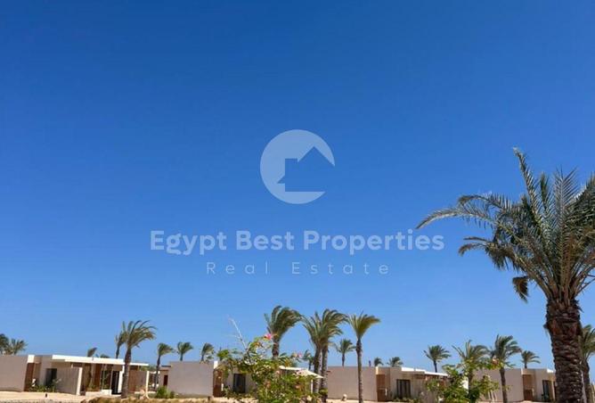 8017981 - صورة العقار 3