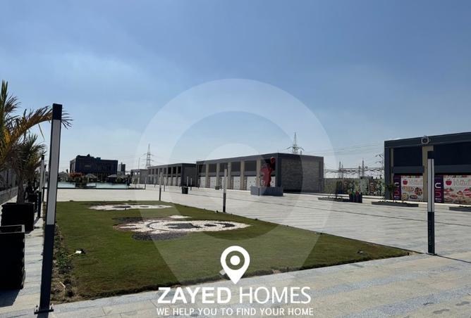 8034143 - Property Image 3