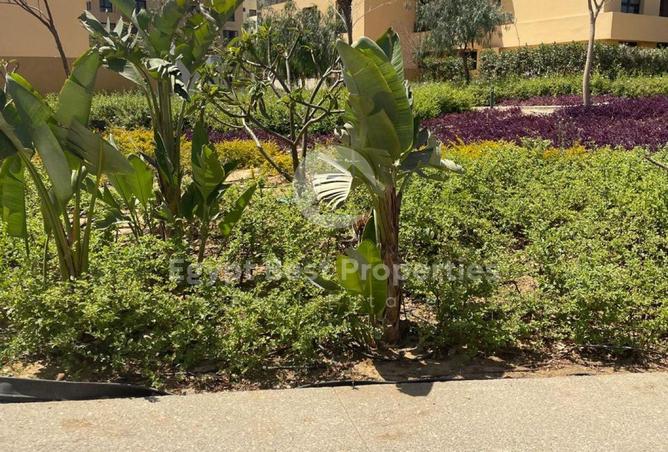 8546795 - الصورة الرئيسية للعقار