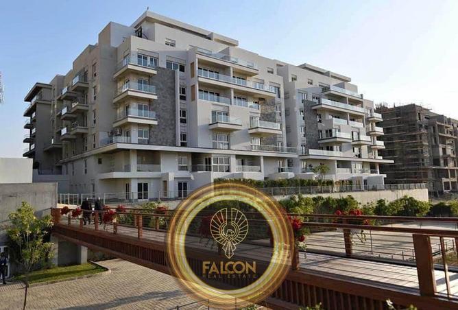 8425421 - Property Image 3