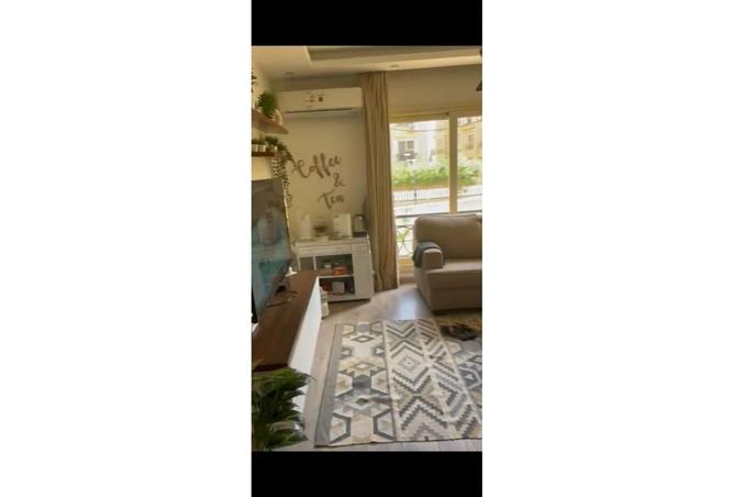 8142264 - Property Image 3