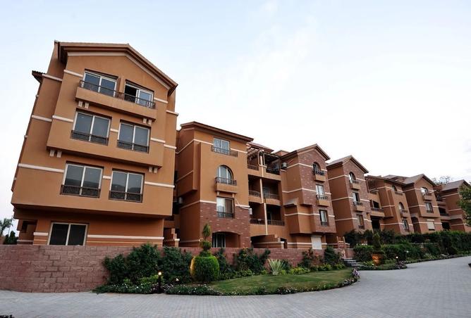 8466418 - Property Image 3