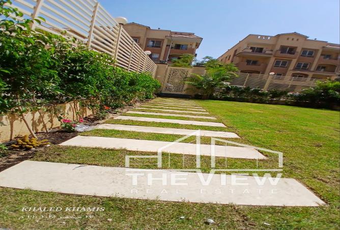 7989268 - Property Image 3