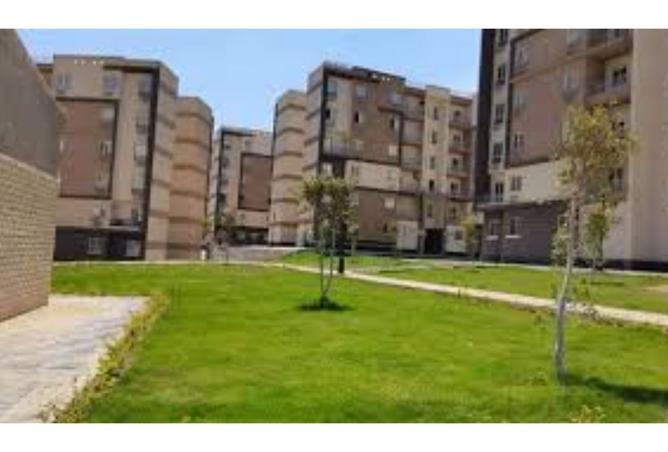 8490728 - صورة العقار 3