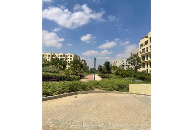7997027 - صورة العقار 3