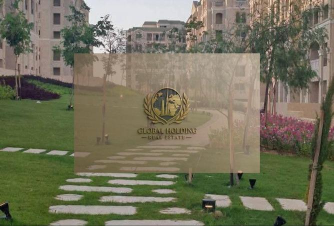 8537013 - Property Image 2