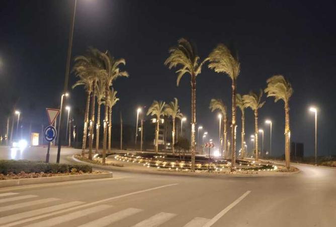 8239754 - صورة العقار 2