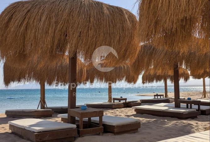 8242281 - صورة العقار 3