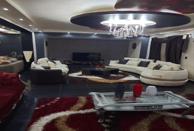 8062040 - Property Image 3