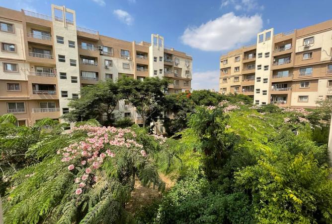 8400994 - الصورة الرئيسية للعقار