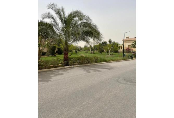 8467228 - Property Image 3