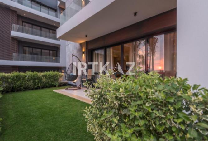 8033776 - Property Image 3
