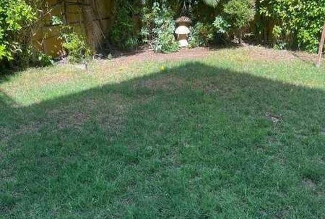 8167811 - Property Image 2