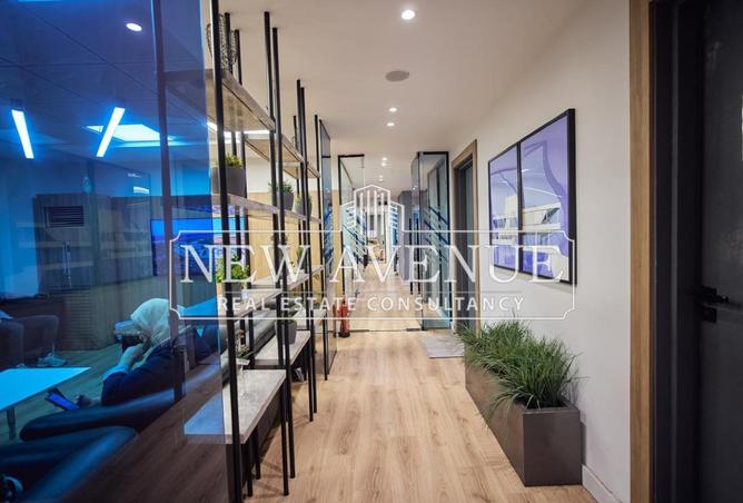 8094407 - Property Image 3