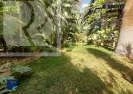 Apartment - 4 bedrooms for للايجار in Sarayat Al Maadi - Hay El Maadi - Cairo