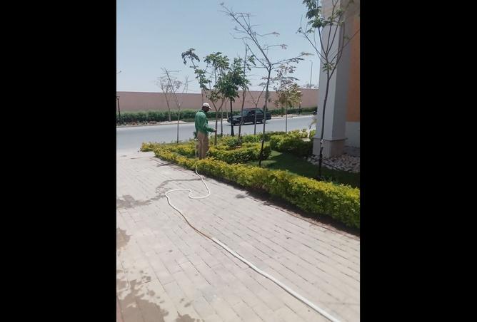 8218333 - Property Image 3