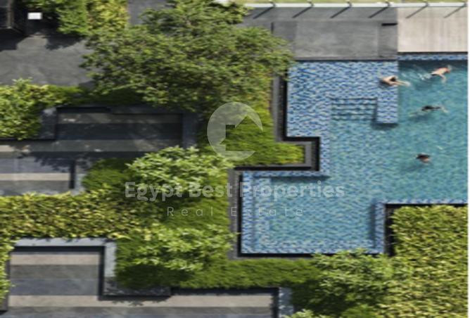 7983381 - Property Image 3