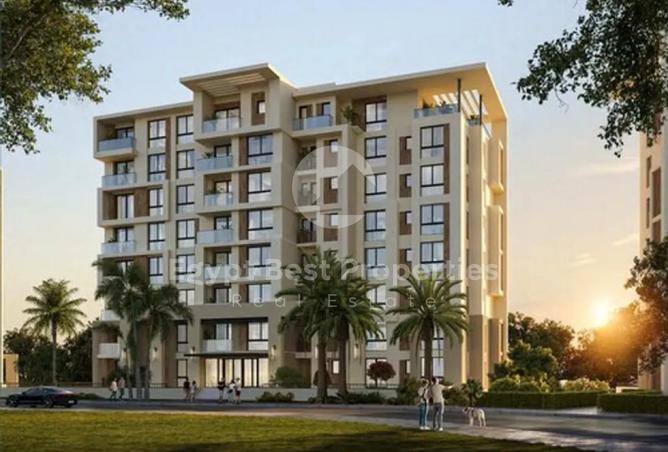 8118574 - Property Image 3