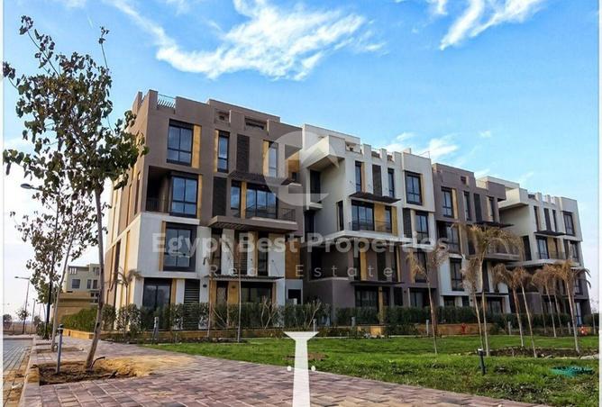 8153228 - Property Image 3