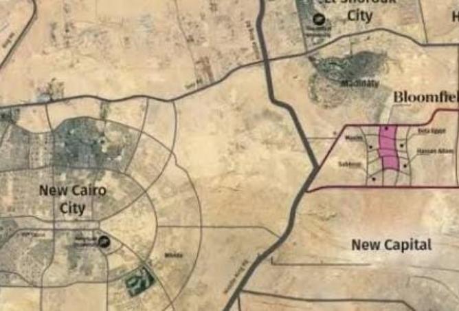 8342404 - صورة العقار 3