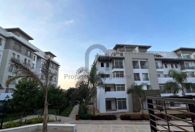 8248446 - Property Image 3