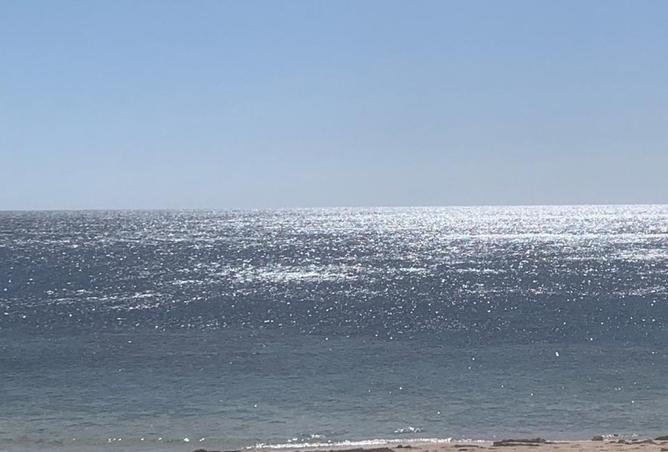 8521421 - Property Image 2