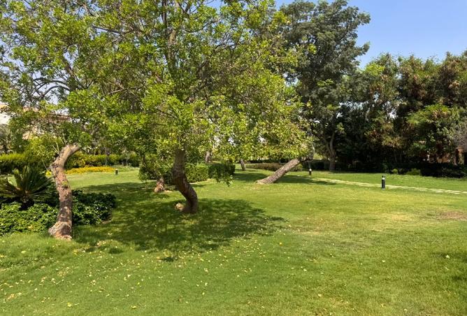 8506275 - Property Image 2